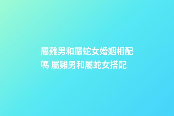 屬雞男和屬蛇女婚姻相配嗎 屬雞男和屬蛇女搭配-第1張-觀點-玄機派